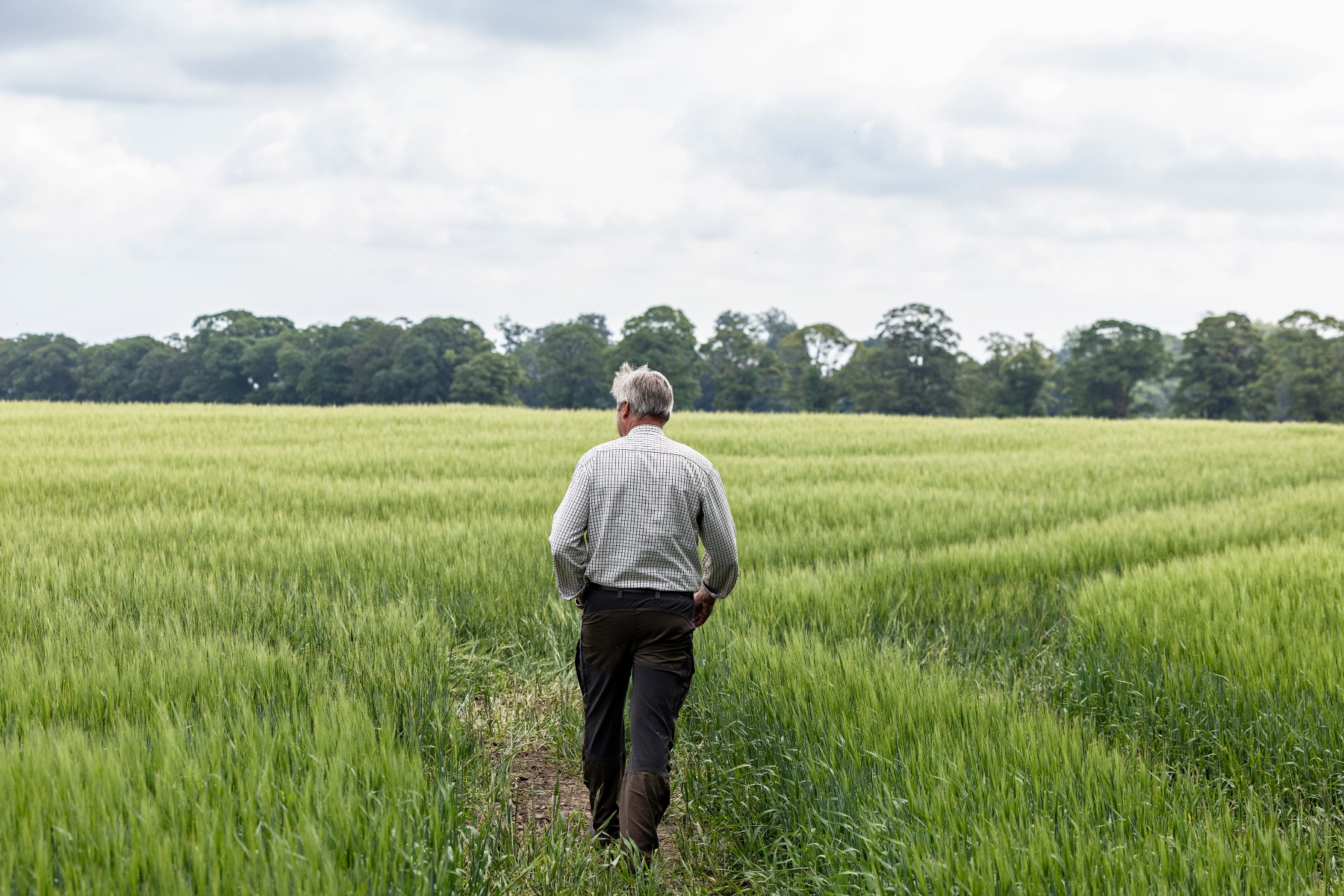 Newsroom » Carlsberg Denmark increases its share of regenerative raw materials « Carlsberg Group